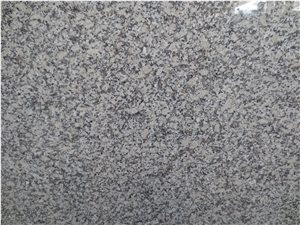 Hubei New G602 Granite Bianco Sardo Grey Tile