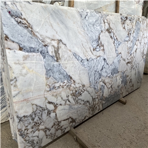 Elephant White Exotic Marble Slabs,Floor And Wall Tiles