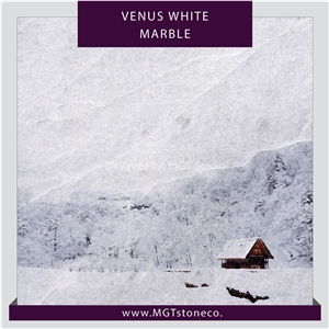 Venus White Marble Tiles & Slabs