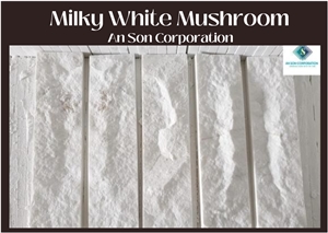 Big Promotion In March Milky White Mushroom Face