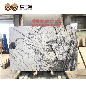 Lilac White Marble Interior Natural Customized Modern Style