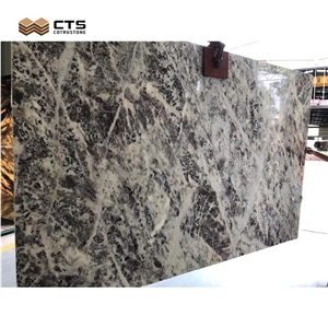 Luxury Natural Stone Beautiful Nice French Coral Sea Marble