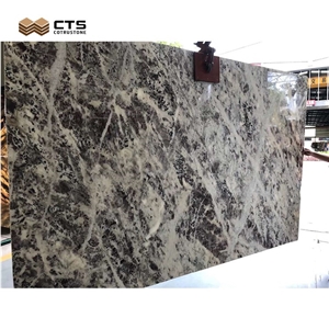 Luxury Natural Stone Beautiful Nice French Coral Sea Marble