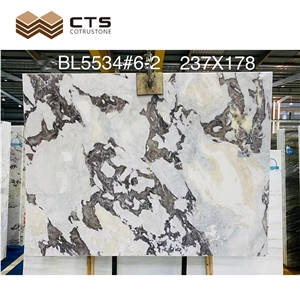Real Marble White Polished Inner Decoration Bianco Picasso