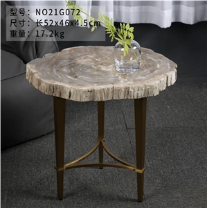 Luxury Natural Petrified Wood Fossil Wood Side Table