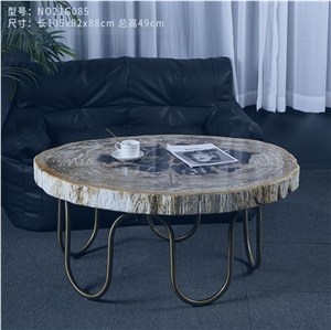 Luxury Natural Petrified Wood Table Top