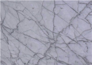 Binshi Gray Benz Silver Gray Italy Marble Slabs &Tiles