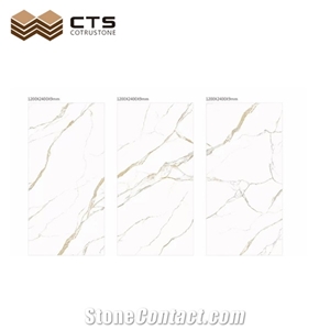 Marble Look Sintered Stone Slab Panda White