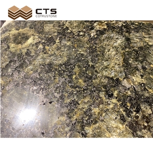 Flamed Verde Corallo Butterfly Green Granite Cut To Tiles