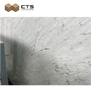 Glossiness Texture Carrara White Custom Modern Simple Style