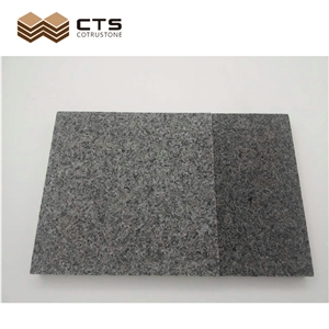 Grey China Export Excellent Quality Granite Gabbro Slab