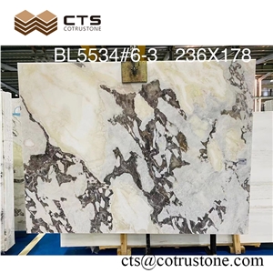 Hotel Project Decoration White Bianco Picasso Marble