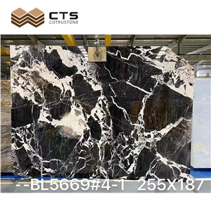 Kylin Black Marble Slabs Fancy Pattern Tiles Interior Design