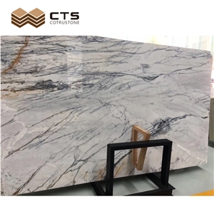 Lilac White Marble Grey Veins TV Wall Tiles Drawing Room