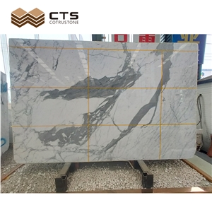 Snow White Fancy Pattern Marble Slabs Custom Interior Design