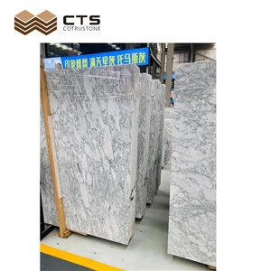 White Statuarietto Venato Marble Slab