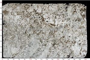 White Glimmer Granite Slab Tiles