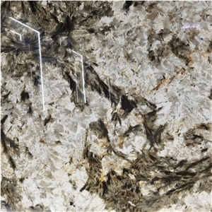 Alpinus Black Crystal Quartzite Slab For Indoor Wall Floor