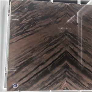 Elegant Brown Book Match Quartzite Exotic Stone Slab