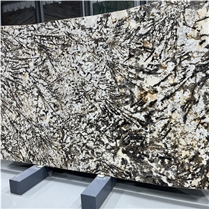 Import Snow Mountain Silver Fox Granite Slabs Walling Tiles