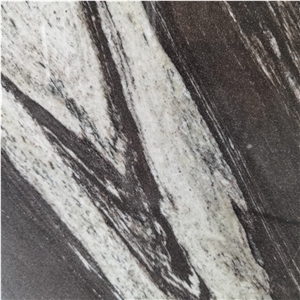 Modern Black And White Quartzite Stone Slab