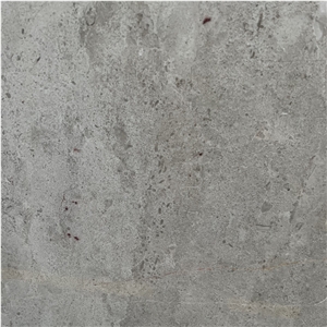 Wholesale Natural Stone Best Quality Caesar Grey Marble Slab