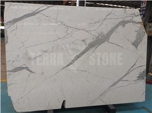 Calacatta White Marble For Wall Covering Polished