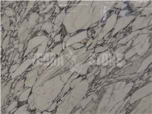 Italy Hot Sale Italy Competitive Arabescato White Marble