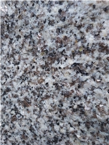Blanco Al Azahar Granite Slabs- New
