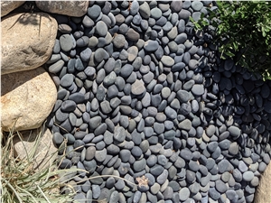 Black Mexican Beach Pebbles 1/2"- 1"