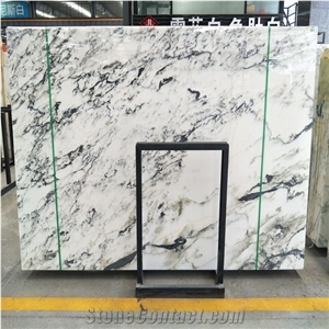 China Calacatta Gold Marble Slabs & Tile