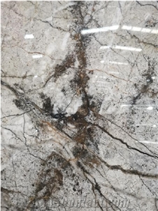 China Painting Grey Marble Slab For Wall Tile Flooring Tile