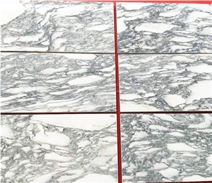 Italian Arabescato Venato Marble,Marmi Arabescato Di Carrara