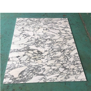 Luxury White Arabescato Corchia Marble Pattern Tile And Slab