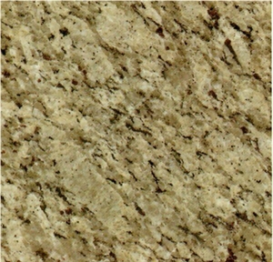 Brazil Origin Golden SAMOA Customized Granite  Slab
