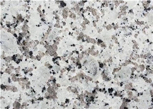 Stable Quality BALA White China Polished Granite Slab