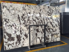 Stable Quality Silver Fox Granite Factory Slab