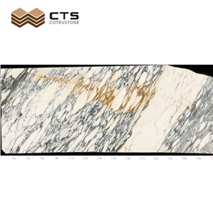 Attractive White Arabescato Faniello Marble Slabs