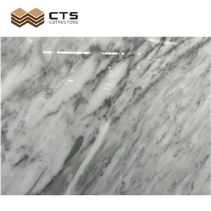 Carrara White Marble Slabs TV Back Wall High Quality Design