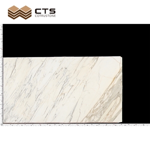 Free Sample Calacatta Gold Marble Luxury House Design