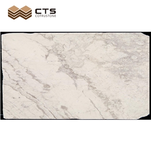 Glossiness Jazz White Marble Indoor Wall Design Cheap Price