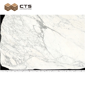 Modern Snow Flake White Natural Marble Size Customized Slabs