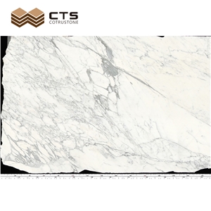 Natural Pattern Snow White Marble Cut Into Size Custom Tile