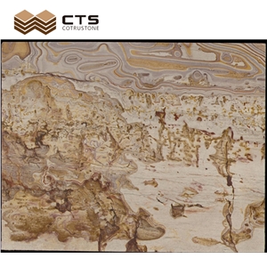 Picasso Gold Quartzite Luxury Slab Chinese Painting Look