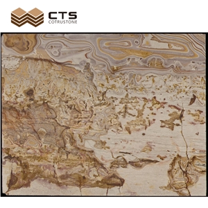 Picasso Gold Quartzite Luxury Slab Chinese Painting Look