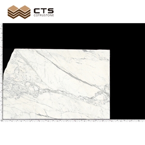 Statuario White Marble Luxury Actual Slabs Artist Stone Type