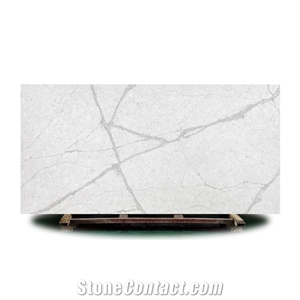 Hot Color 5001 Bird White Artificial Quartz Stone