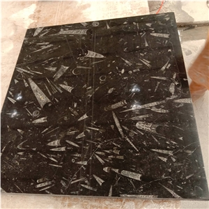 Wholesale Fossil Stone Black Marble Slab Tiles