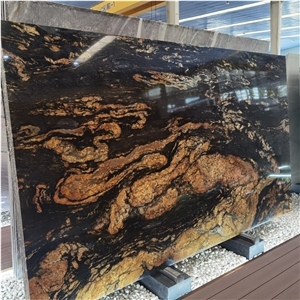 Titanius Black Gold Granite Exotic Stone Slab For Hotel