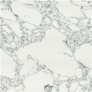 Carrara Arabescato White Marble Artificial Prime Price